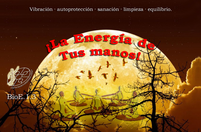 imagen taller bioenergia