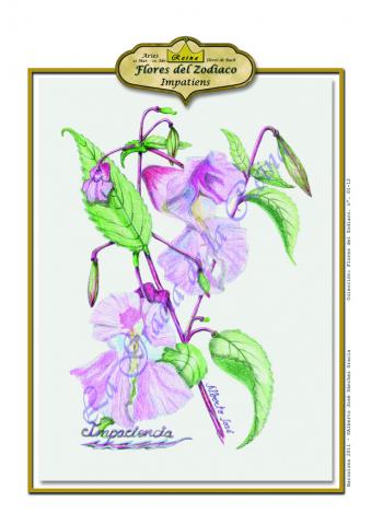 Aries - Impatiens. Flores de Bach -Los 12 sanadores en CienciasEvolutivas.com