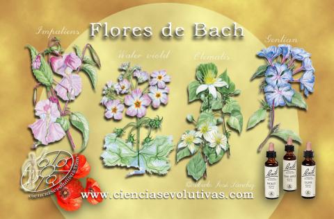 Las Folres de Bach en CienciasEvolutivas.com