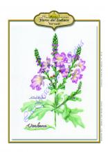 Leo - Verbena. Flores de Bach -Los 12 sanadores en CienciasEvolutivas.com